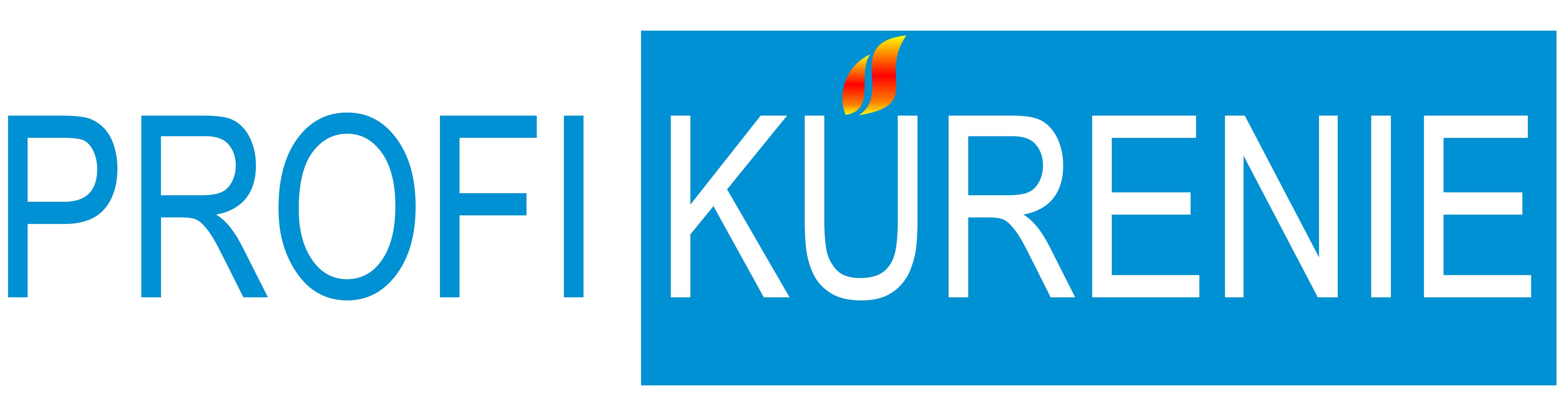Logo 11
